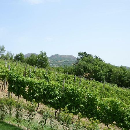 Agriturismo Ca' Del Sartu Villa Bobbio Esterno foto