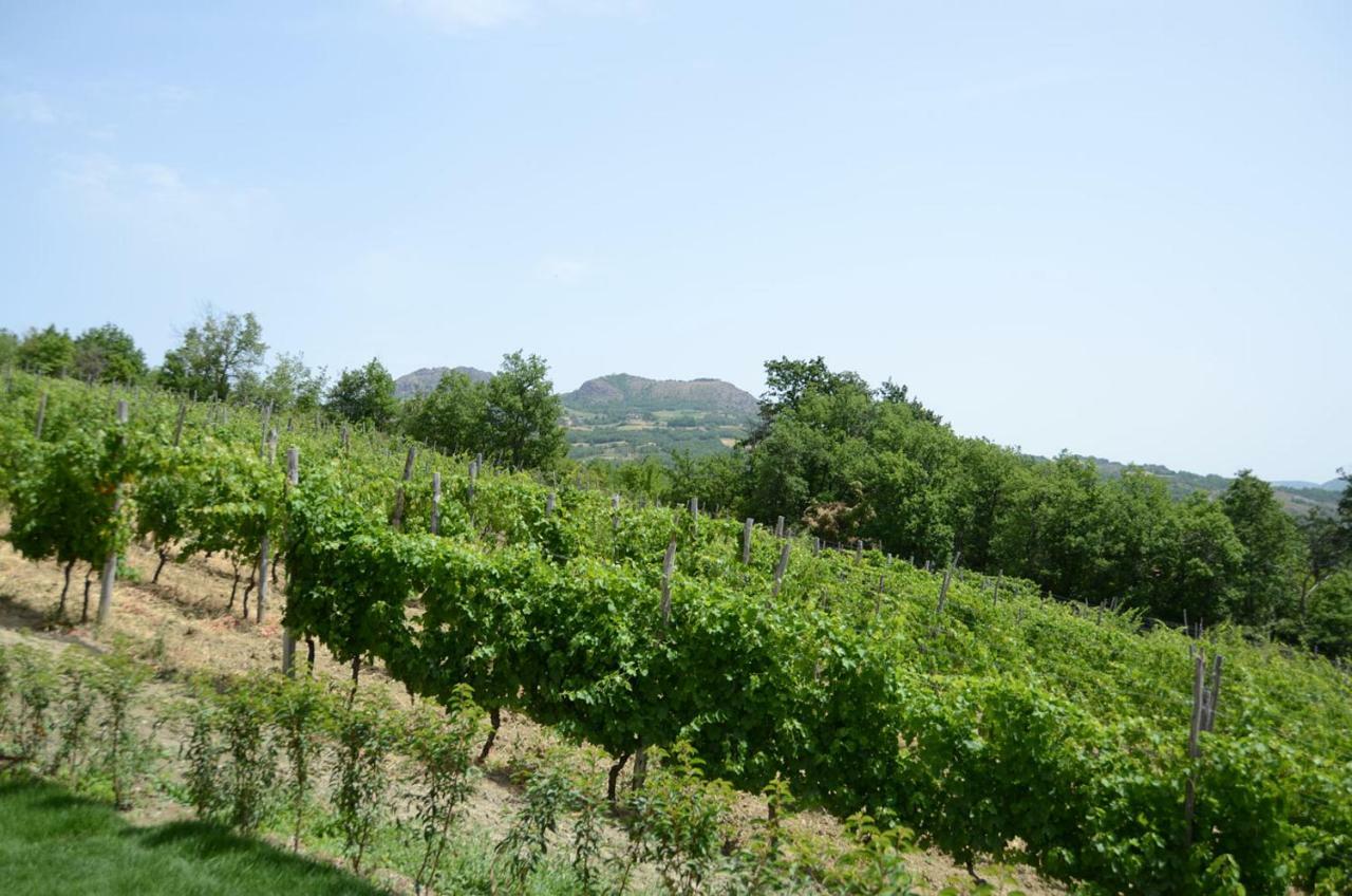 Agriturismo Ca' Del Sartu Villa Bobbio Esterno foto